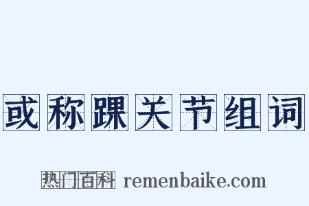 或称踝关节组词是什么意思的图片